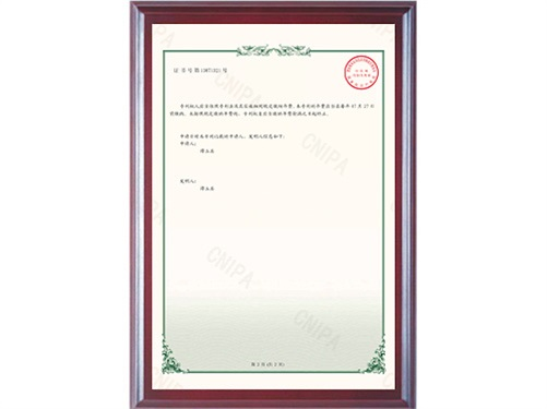 邵陽(yáng)市水利水電建設(shè)有限公司2020215043119一種水利工程震動(dòng)夯_2